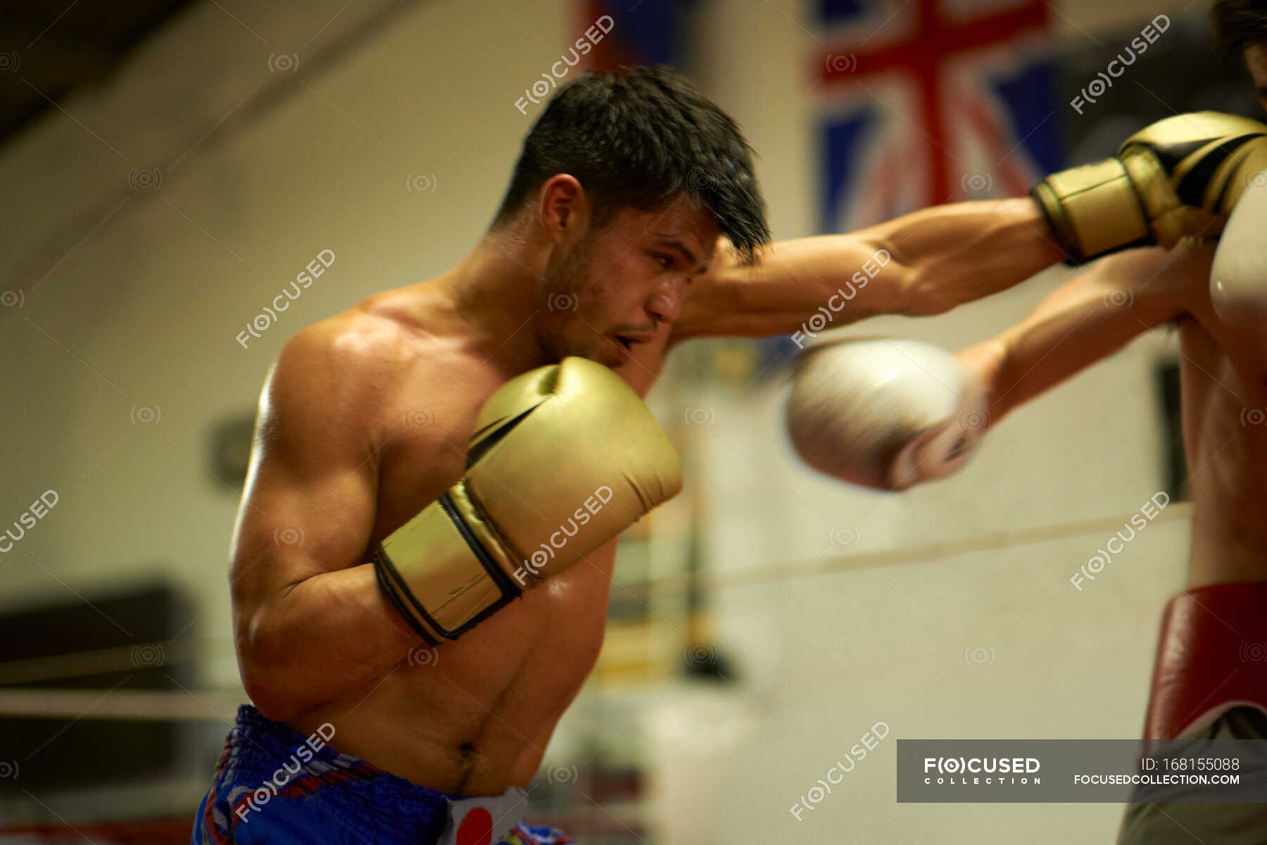 Two Boxers Sparring In Boxing Ring Physical Training Competition