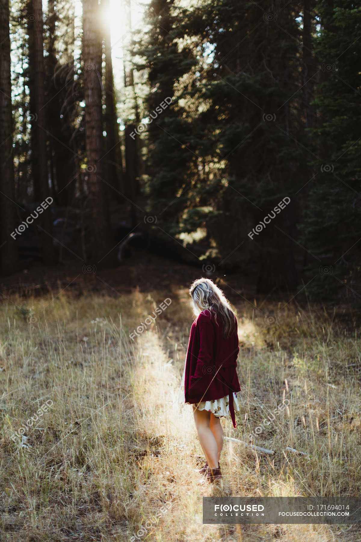 Pregnant Woman Wandering By Forest Sequoia National Park California USA Tree Sunlight