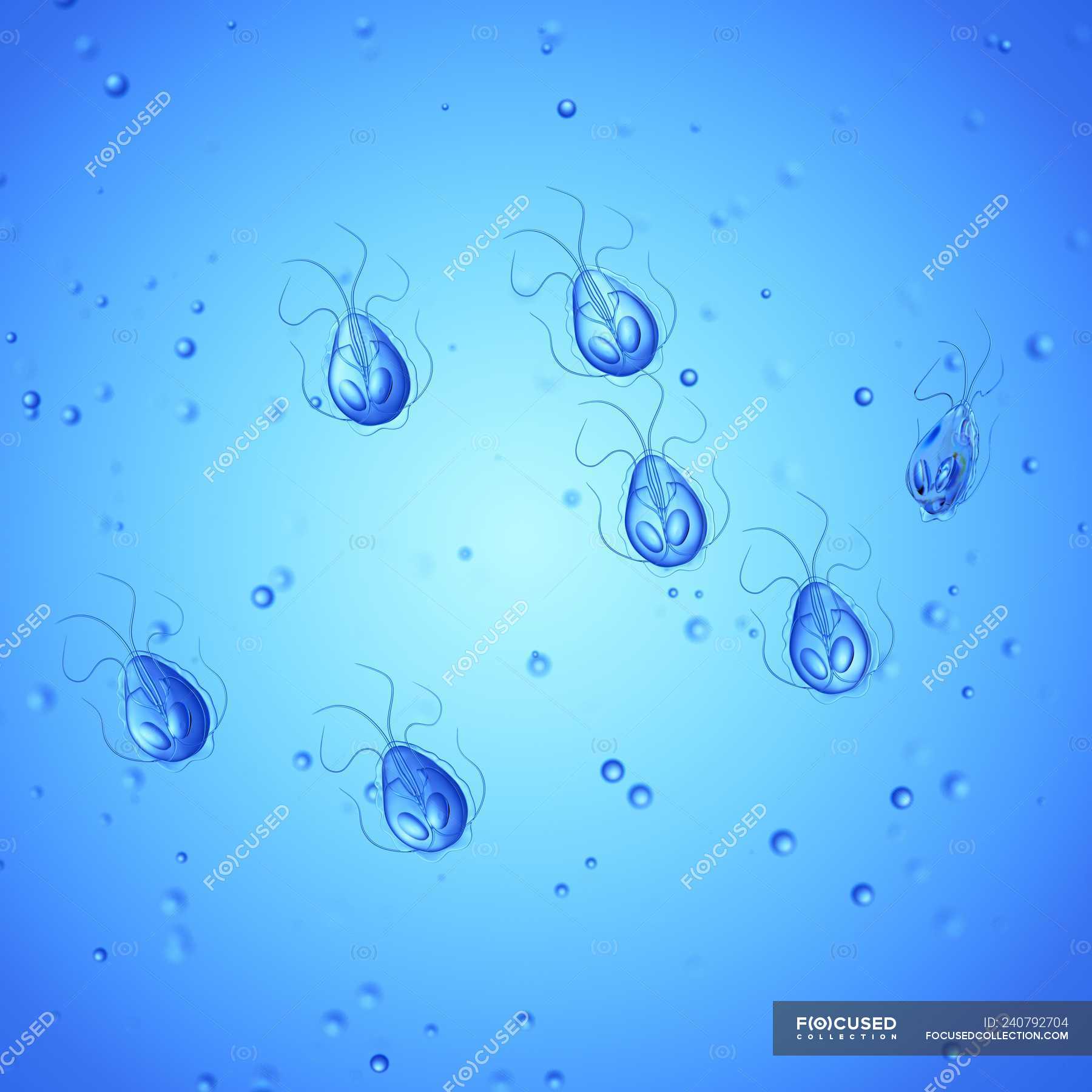 Illustration Of Giardia Parasites On Blue Background Giardia
