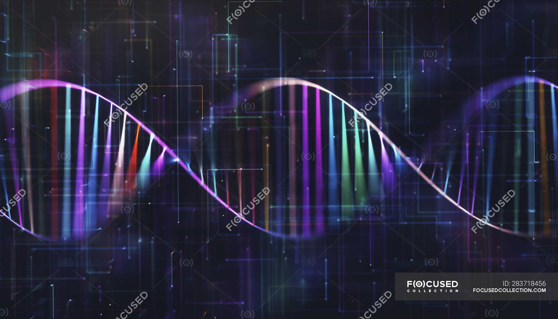 Multicolored Dna Molecule Digital Illustration Biotechnology