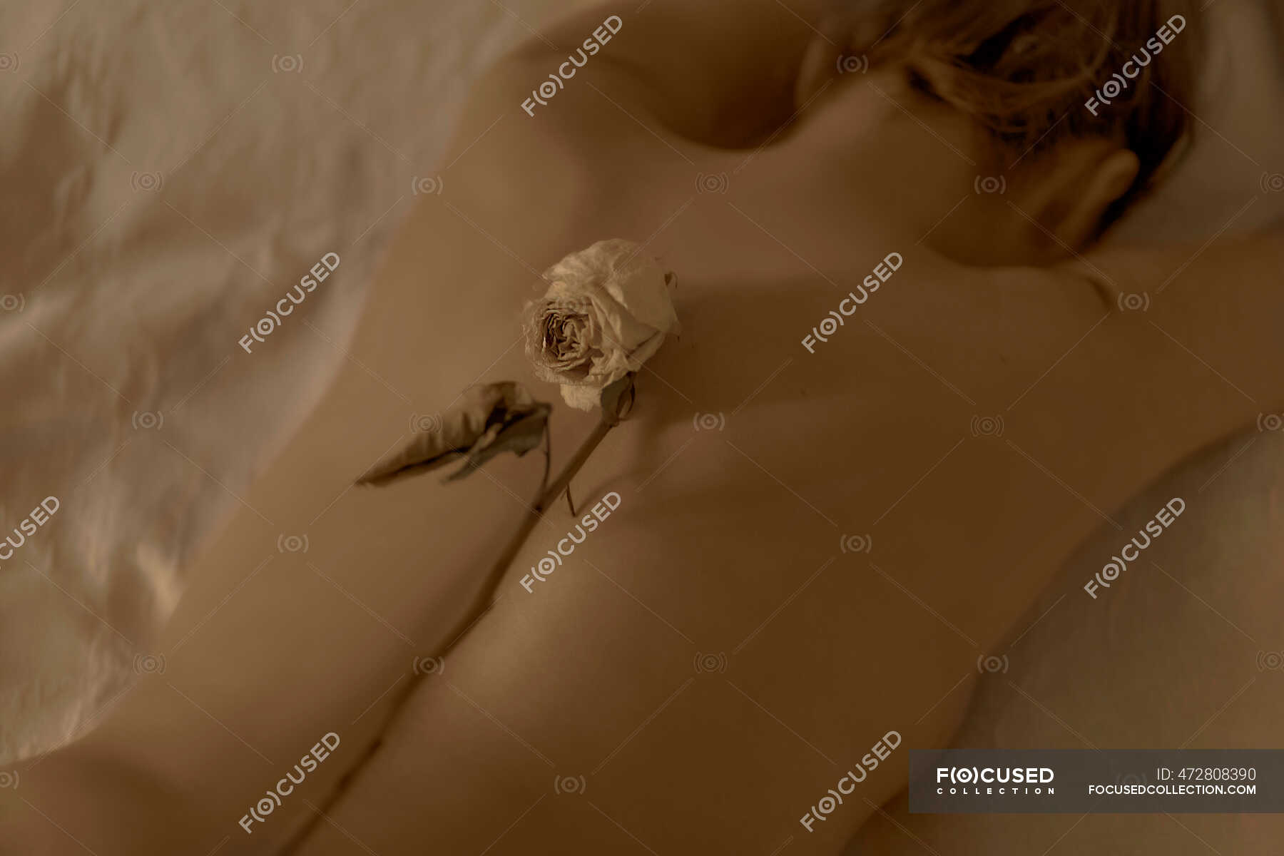 Rear View Of Nude Woman Lying In Bed With Dried Flower Emotional