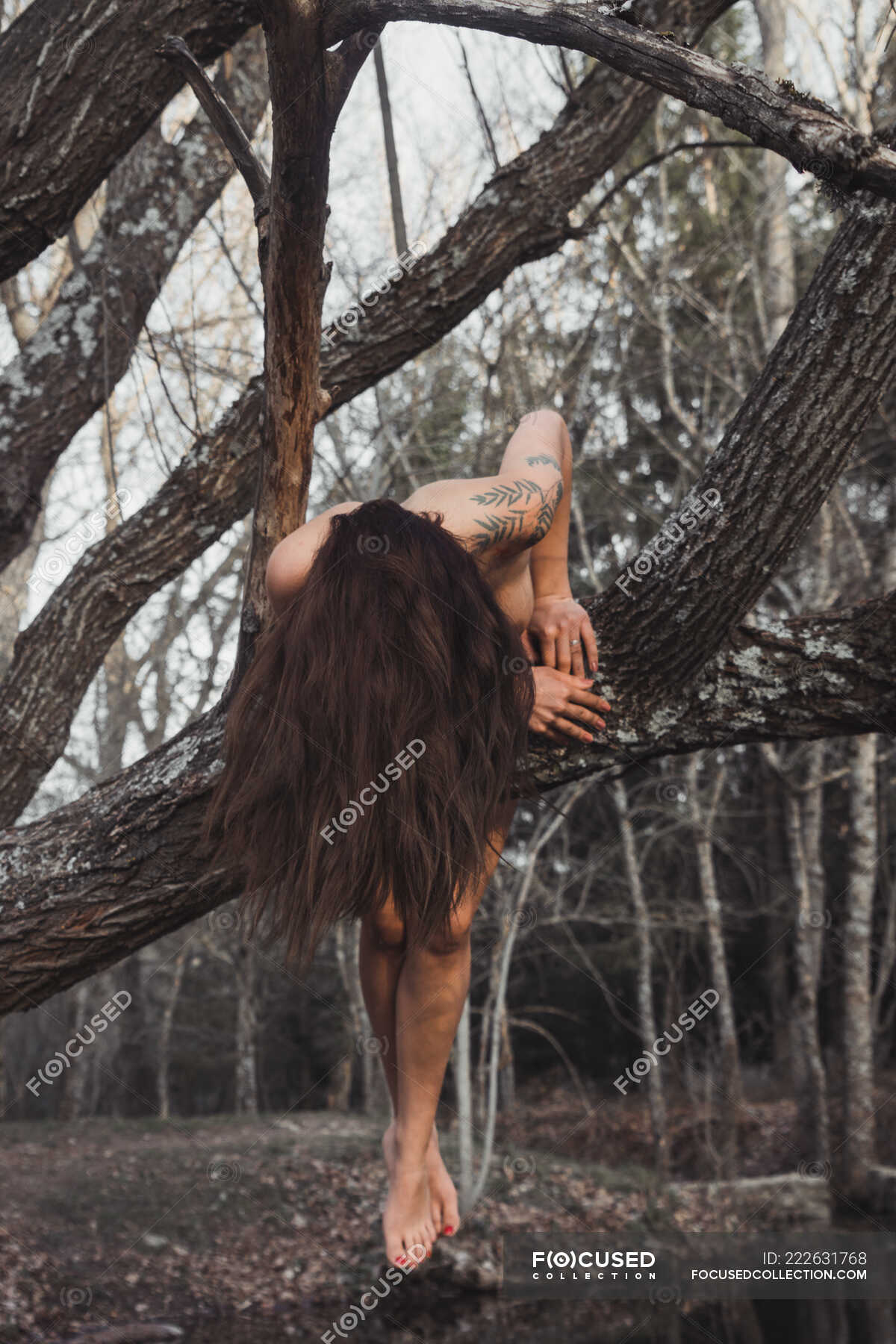 Naked Woman Lying On Tree Outdoors Unrecognizable Stock Photo