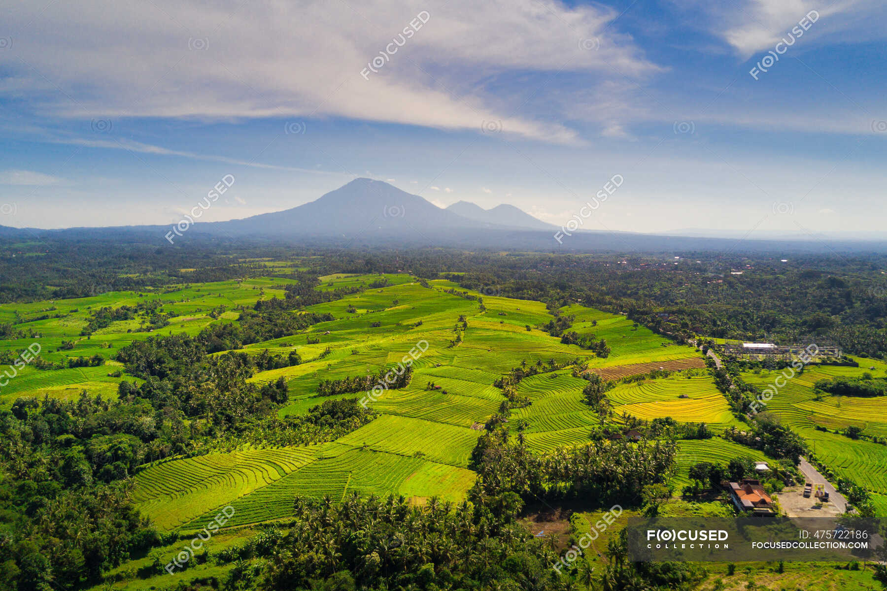 Aerial View Of Tropical Rice Fields In Rural Landscape Mandalika