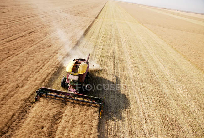 Aerial View of Harvest in Field — Stock Photo