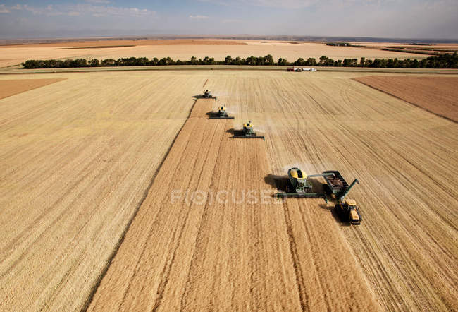 Aerial View of Harvest — Stock Photo