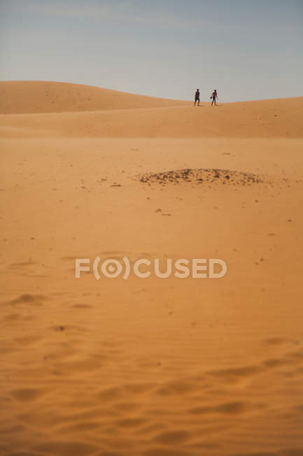 The traveler in the desert — Stock Photo