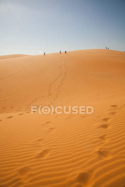 The traveler in the desert — Stock Photo