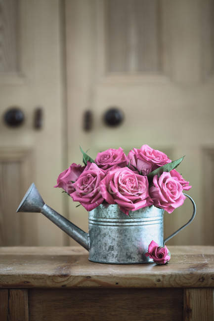 Vintage-Gießkanne mit Rosen — Stockfoto