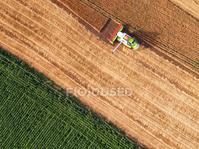 Aerial view of combine on harvest field — Stock Photo