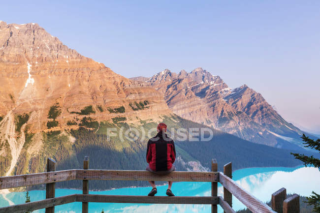 Mann blickt auf Peyto-See — Stockfoto