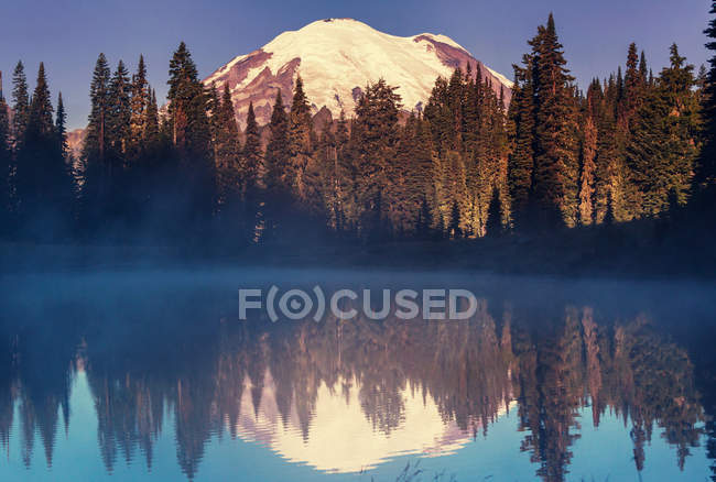 Mount Rainier national park — Stock Photo