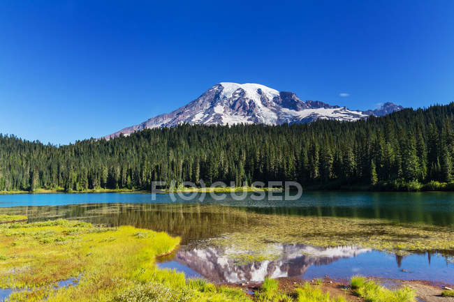 Mount Rainier national park — Stock Photo