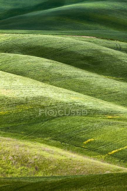 Montañoso paisaje de Toscana - foto de stock