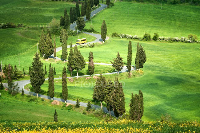 Tuscana Landscape - road serpentines — Stock Photo