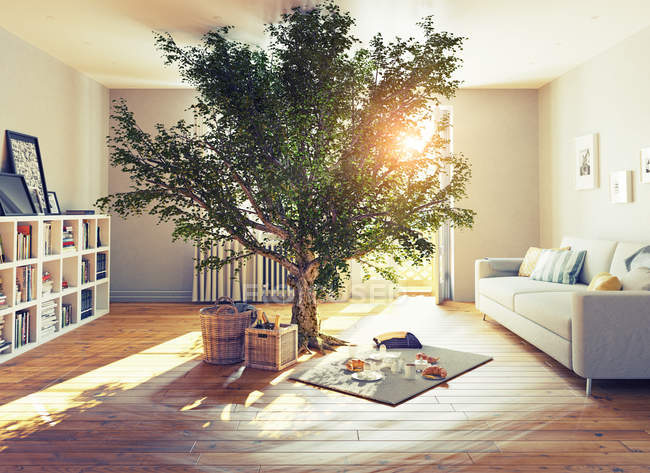 Baum in einem Raum — Stockfoto