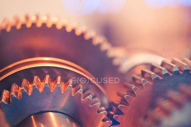 Gear wheels close-up — Stock Photo