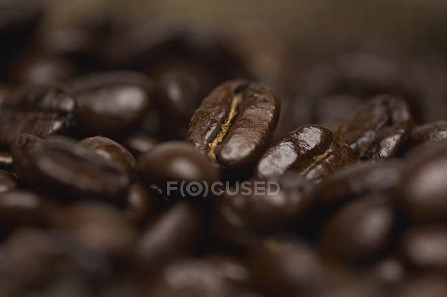 Frische Kaffeebohnen — Stockfoto