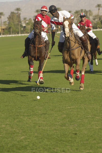 Giocatori che giocano a polo — Foto stock