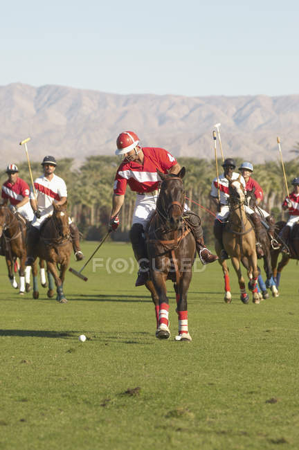 Giocatori che giocano a polo — Foto stock