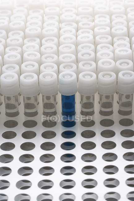 Blue test tube — Stock Photo