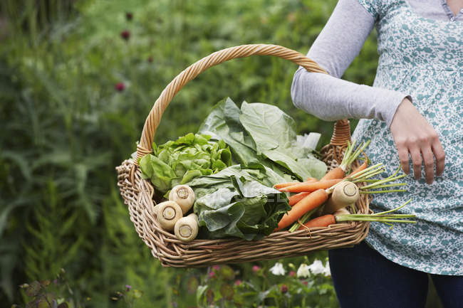 Woman holding vegetables in basket — Stock Photo