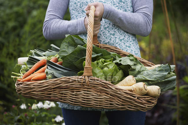 Woman with vegetables in basket — Stock Photo