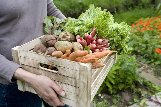 Woman carrying crate of vegetables — Stock Photo