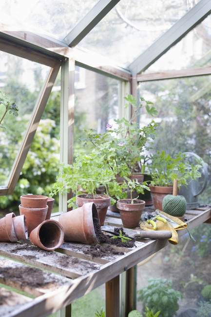 Pots sur établi — Photo de stock