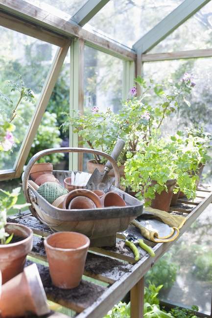 Équipement de jardinage sur établi — Photo de stock