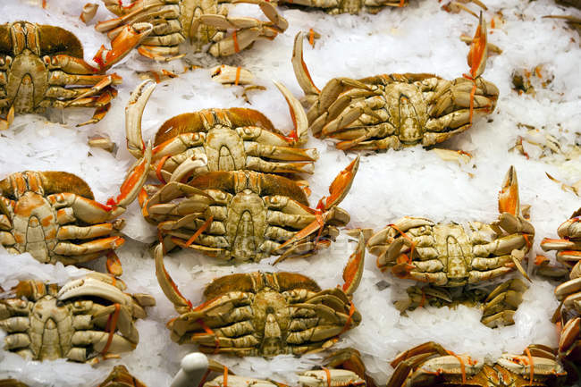 Crabs at fish market — Stock Photo