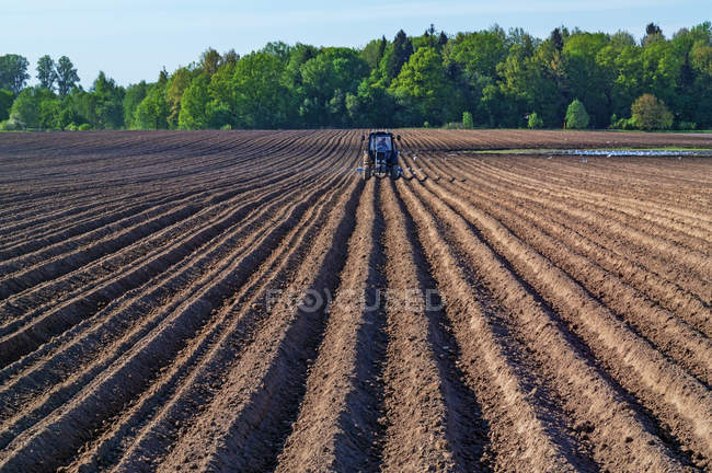 Tractor cerdas arado campo de primavera . - foto de stock