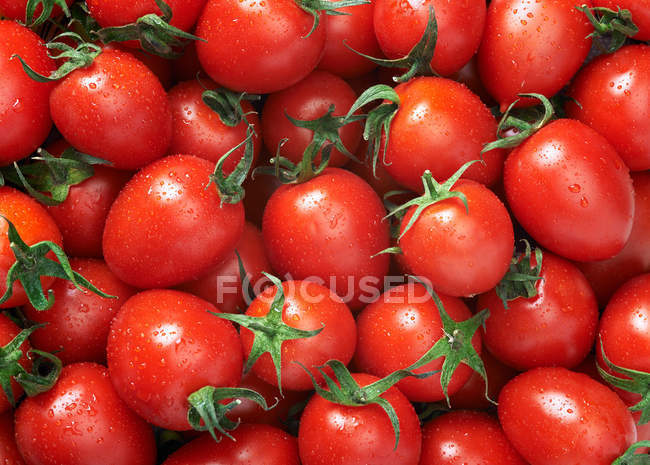 Pomodori sfondo primo piano — Foto stock