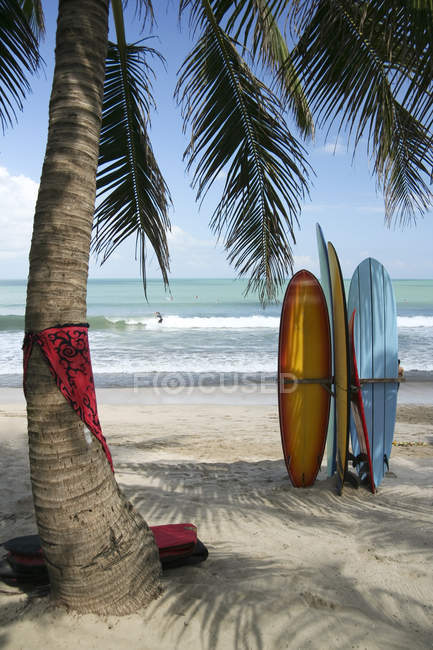 Bali boards surfing  kuta beach waves — Stock Photo