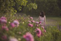Девушка в розовом платье смотрит на цветы — стоковое фото