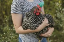 Chica sosteniendo gallina gris - foto de stock