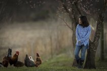 Brünettes Mädchen schaut sich Hühner an — Stockfoto