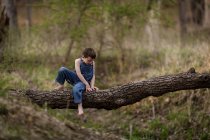 Lindo chico sentado en un árbol caído - foto de stock
