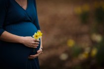 Беременная женщина в платье держит нарциссы — стоковое фото