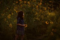 Pretty girl standing near sunflowers — Stock Photo