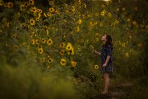 Девушка, стоящая рядом с цветущими подсолнухами — стоковое фото