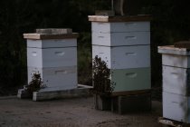 Three wooden hives — Stock Photo