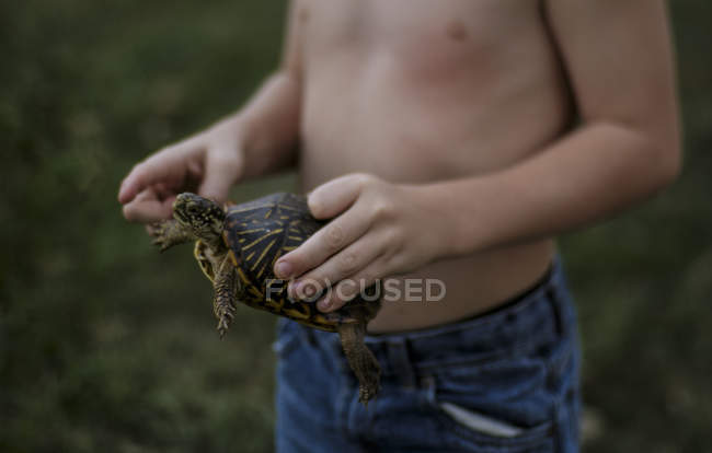 Маленький мальчик держит черепаху — стоковое фото