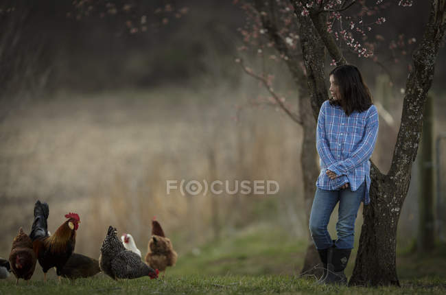 Brünettes Mädchen schaut sich Hühner an — Stockfoto