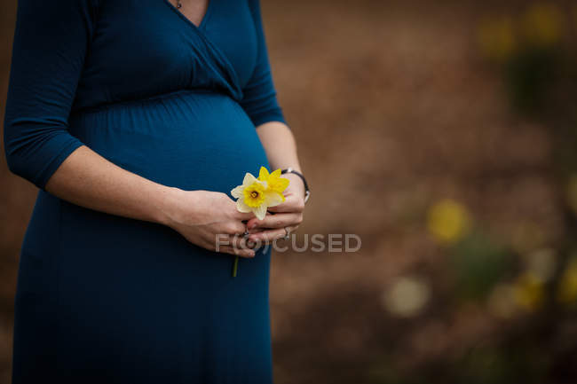 Femme enceinte tenant des jonquilles jaunes — Photo de stock