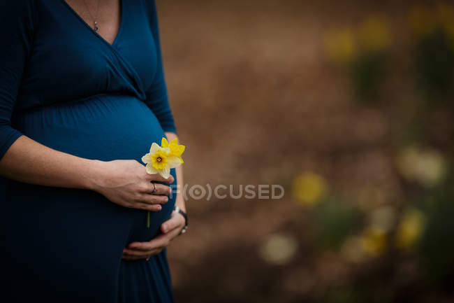 Femme enceinte en robe tenant des jonquilles — Photo de stock