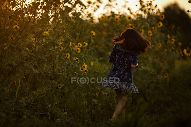 Брюнетка бежит в цветущих подсолнухах — стоковое фото