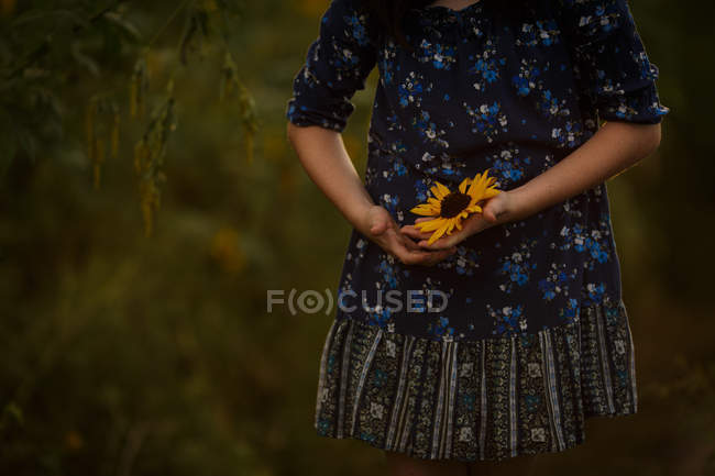 Girl holding sunflower in hands — Stock Photo