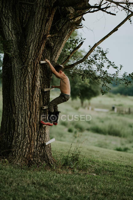Garçon grimpant sur l'arbre — Photo de stock