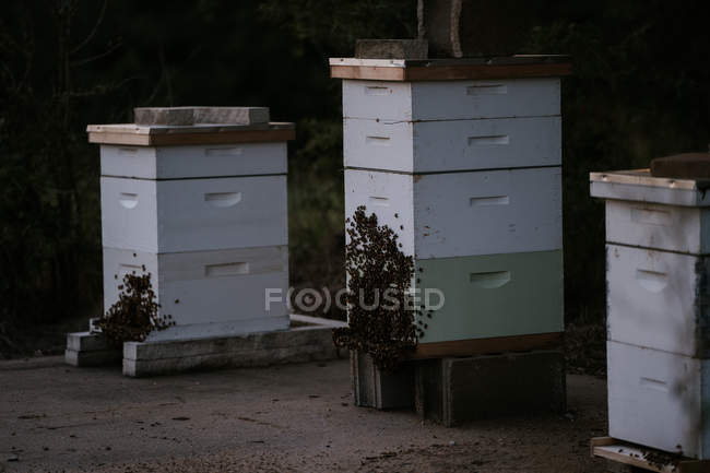 Trois ruches en bois — Photo de stock