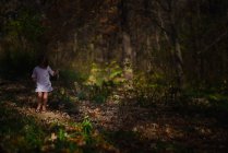Chica en swing en otoño bosque - foto de stock